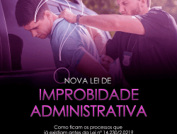 LeiImprobidadeAdministrativa (1)